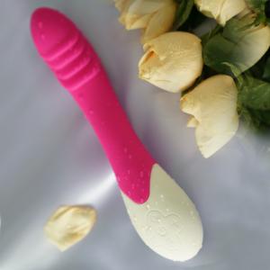 BS1017 Vibrator