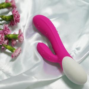 BS1001 Vibrator